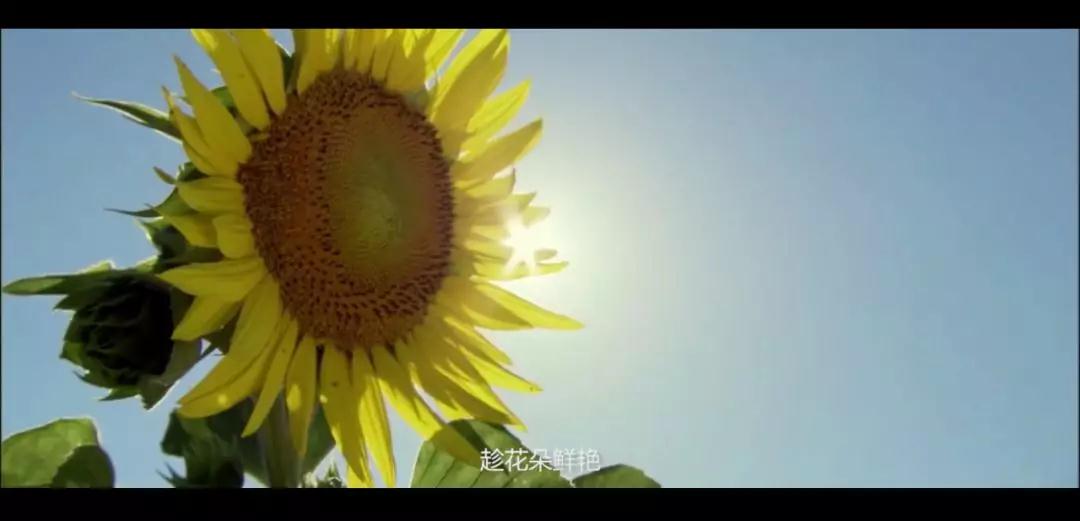 1642489762609968.jpg 微信圖片_20220118150657.jpg