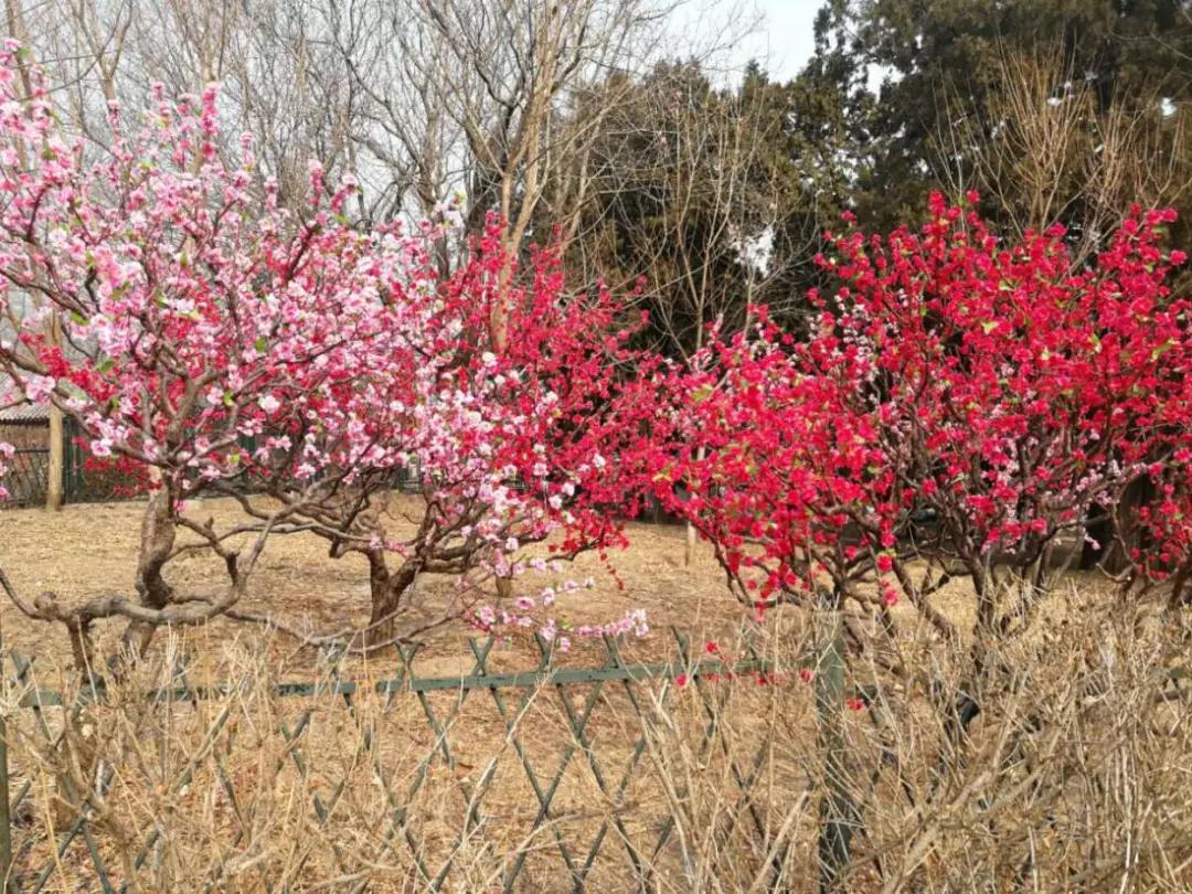 1642493563855433.jpg 微信圖片_20220118161117.jpg