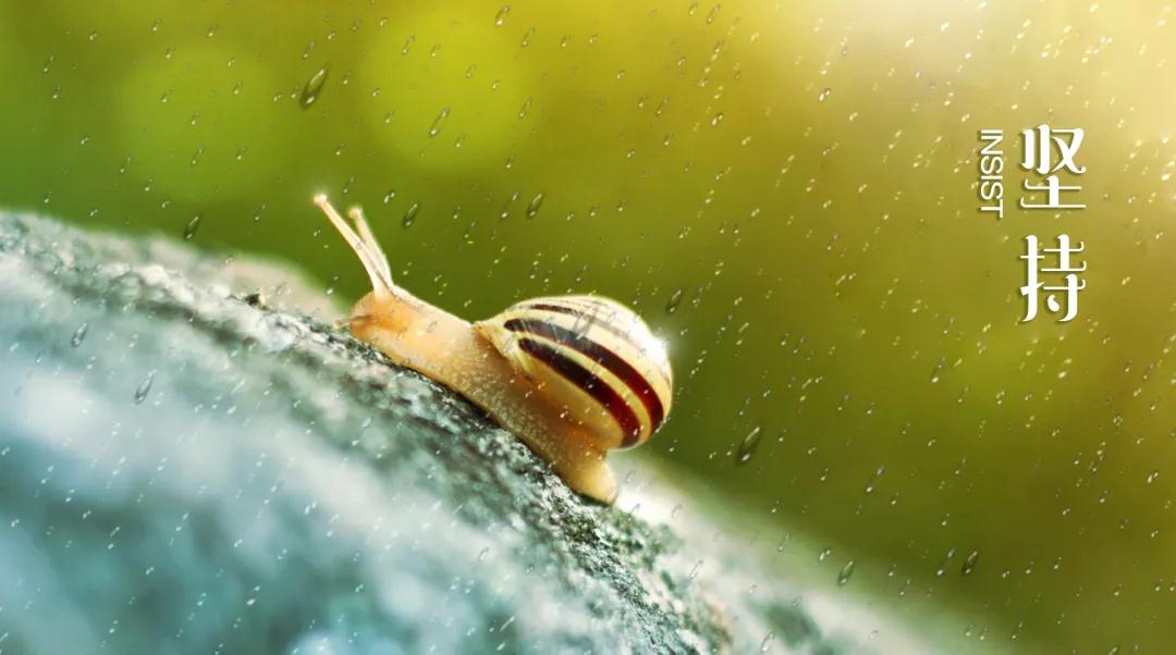 1642556219220519.jpg 微信圖片_20220119093535.jpg