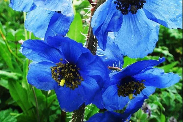 1642565116149388.jpg 微信圖片_20220119120334.jpg