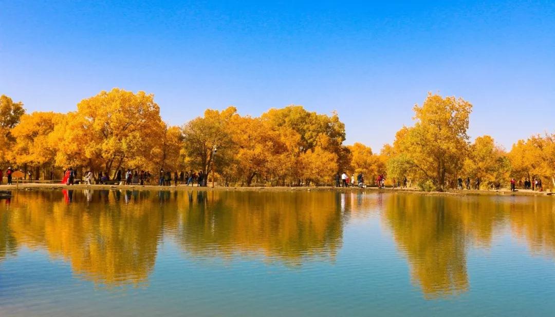 1642565127304970.jpg 微信圖片_20220119120336.jpg