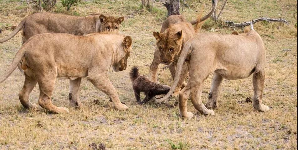 1642565145525294.jpg 微信圖片_20220119120342.jpg