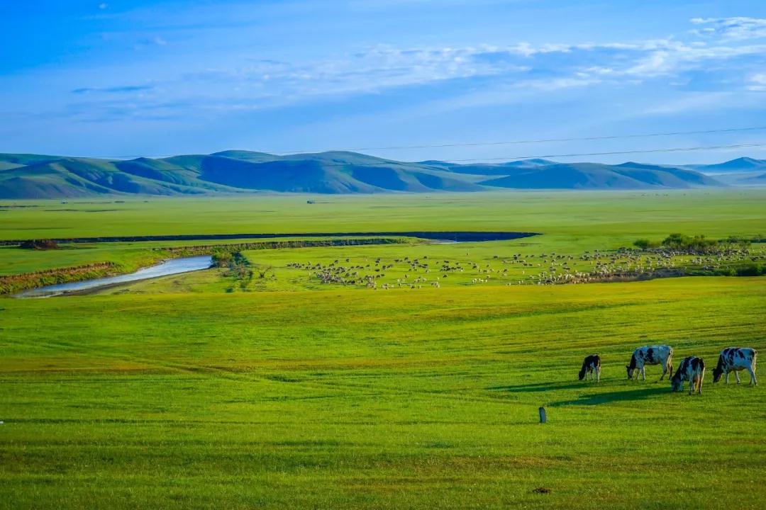 1642571816197315.jpg 微信圖片_20220119135529.jpg