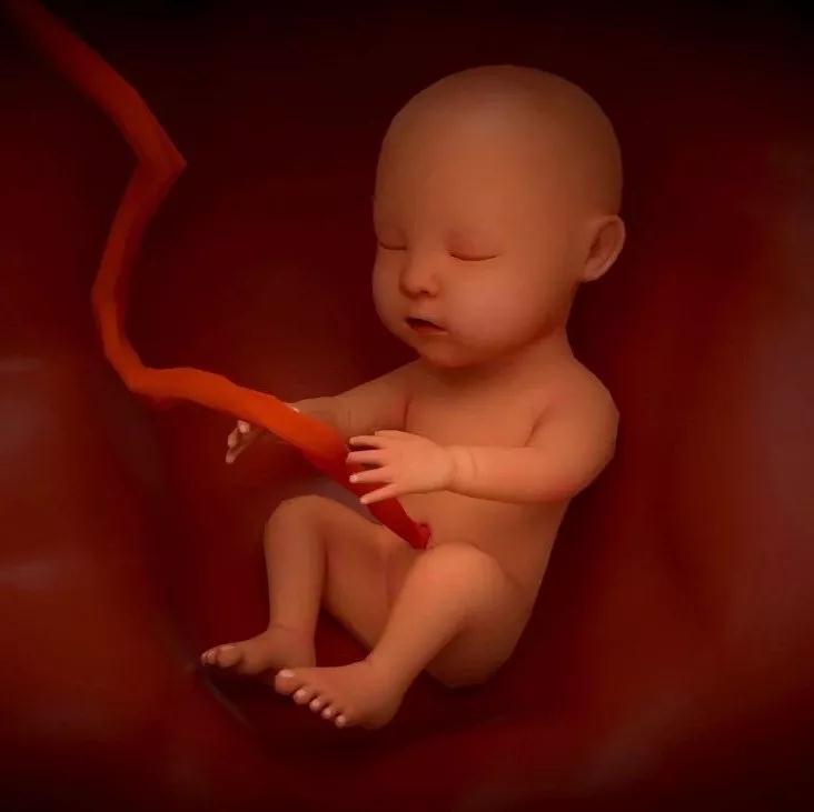 1642571929626554.jpg 微信圖片_20220119135746.jpg