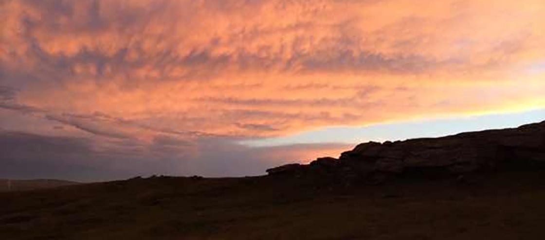 1643246607991009.jpg 1526172430545147.jpg