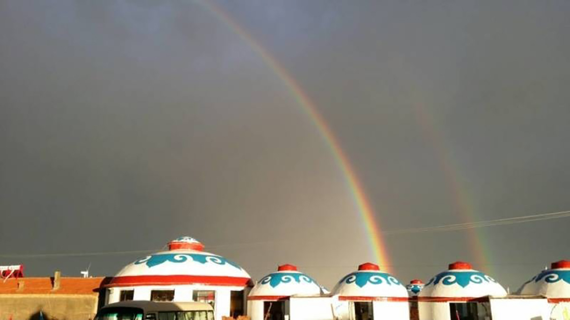 1643246614984775.jpg 00.jpg