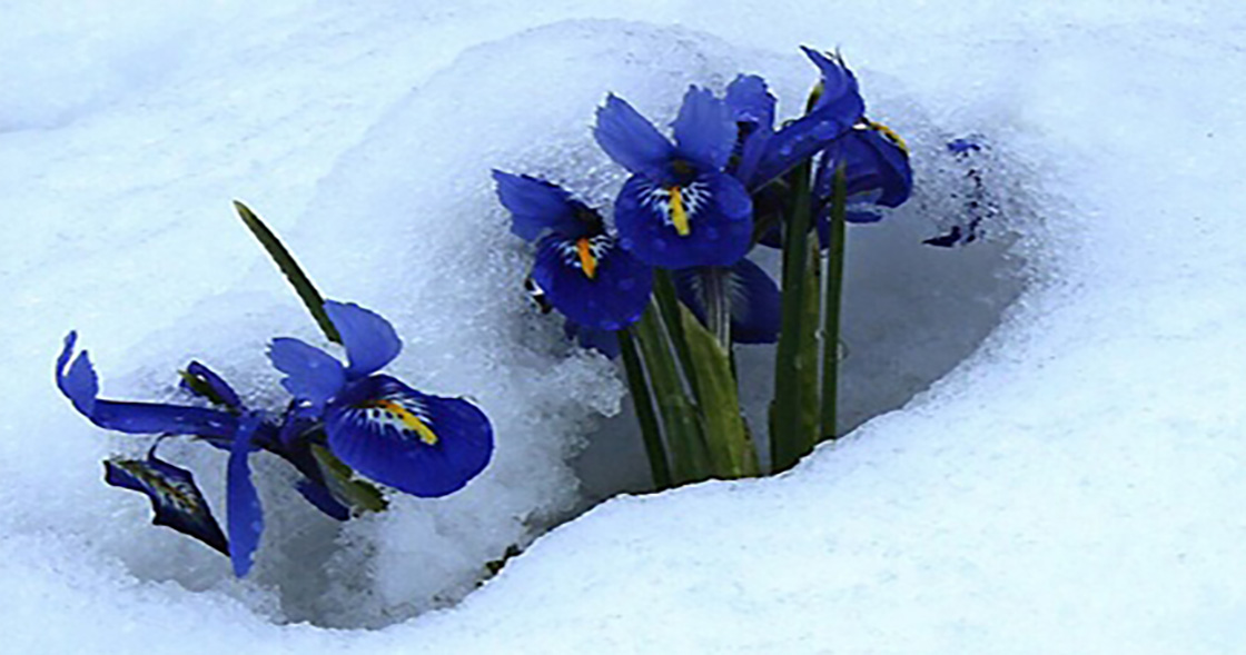 1643255223165971.jpg 1526202037831065.jpg