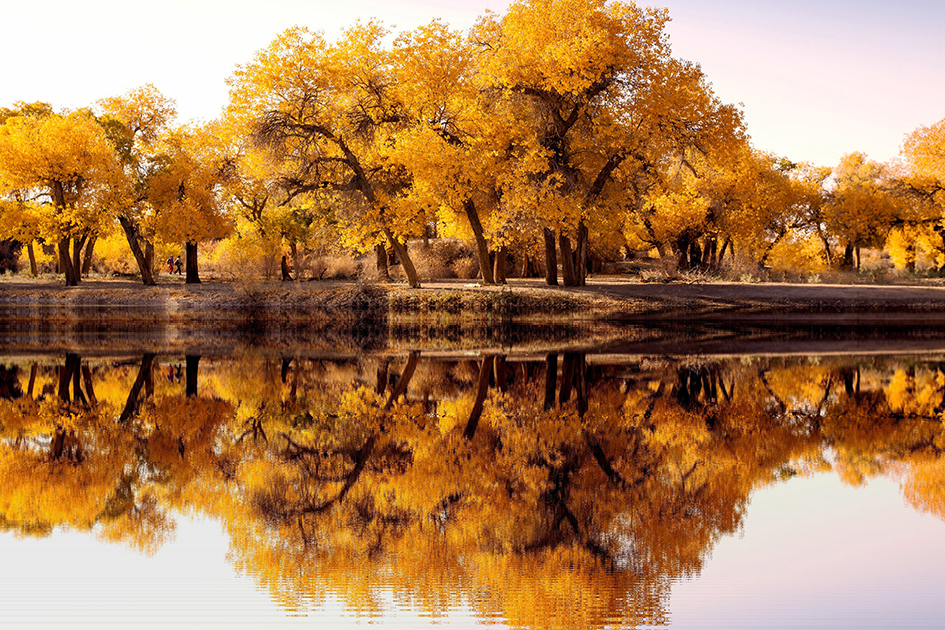 1667957007455506.jpg é?í?í?_500596860_banner_???????ìoú??á?£¨?óòμéìó?£?.jpg