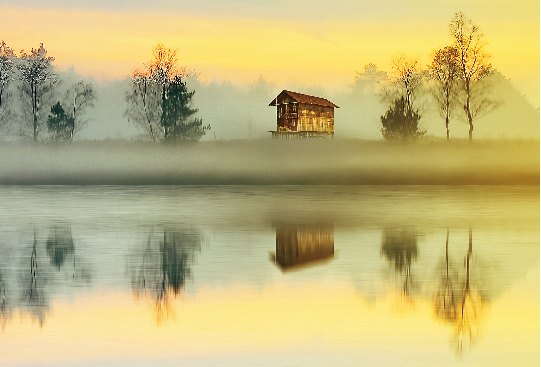 1667966194591993.jpg 1419-09.jpg