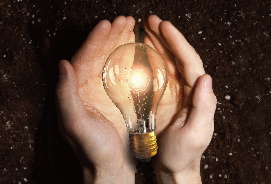 1667969036178009.jpg 1415-09.jpg