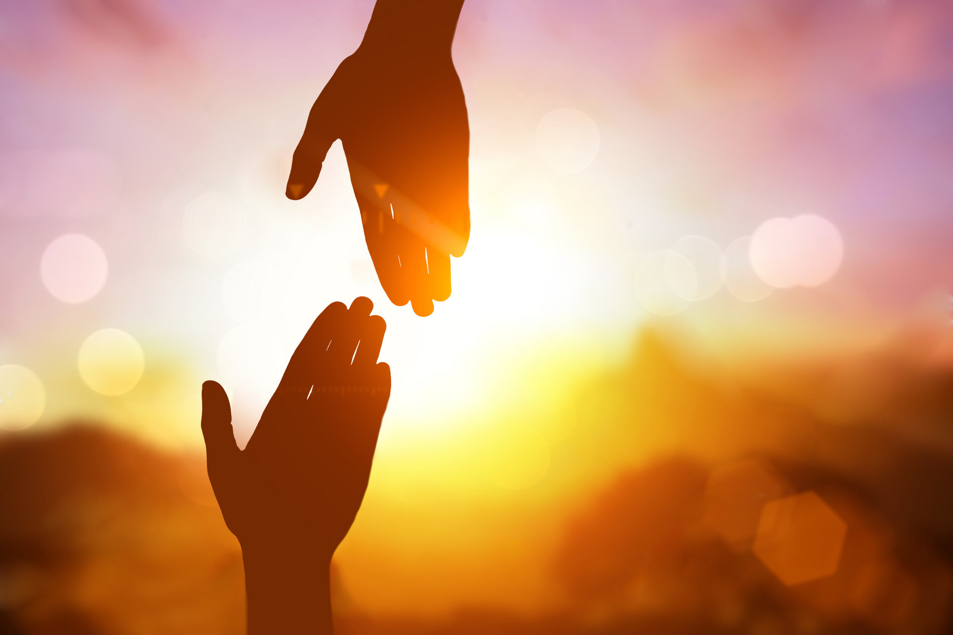 1668051086118577.jpg é?í?í?_500531142_banner_°??úê?????μ???󰣨?óòμéìó?£?.jpg